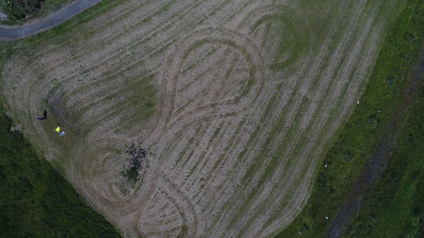 Tracks on land revealed by drone image